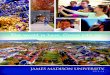 James Madison University International Admissions Preview