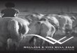 WV Bull Sale Catalogue 2015