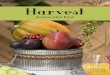 Harvest | Autumn Idea Book