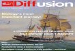 Diffusion Issue 4