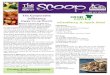 The Scoop ~ October 2015 Edition