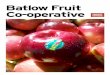 Batlow Fruit Co-operative
