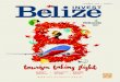 Invest Belize Vol. 4