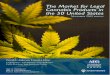 Executive Summary: The Market for Legal Cannabis Products in the 50 United States, November 2015