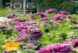 JUB Holland landscape catalogue - Spring 2016