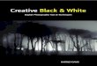 Creative black and white digital photography tips and techniques