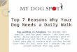 Top 7 reasons why your dog needs a daily walk