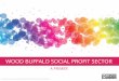 Wood Buffalo Social Profit Primer