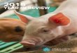 2015 Year In Review | Animal Charity Evaluators
