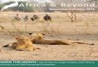 Africa & Beyond - February 2016 Newsletter