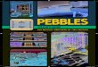 Pebbles Seller’s Guide