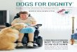 Dogs for Dignity Winter 2016