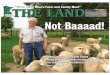 THE LAND ~ Feb. 12, 2016 ~ Southern Edition