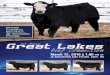 2016 Great Lakes Beef Connection Bull Sale
