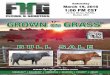 Flying H Genetics 2016 Missouri Spring Bull Sale