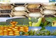19th february ,2016 daily exclusive oryza rice e newsletter by riceplus magazine