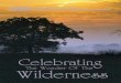 Celebrating The Wonder Of The Wilderness