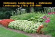 Indresano Landscaping - Indresano Landscaping (781) 235-4003
