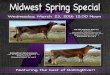 Midwest Spring Special 2016