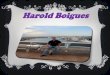 Harold Boigues