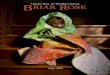 Briar Rose by Heather Ross
