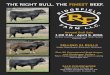 2016 Ridgefield Farm Bull Sale
