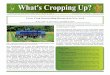 What's Cropping Up? Volume 26, Number 2 - March/April