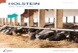 Holstein Directory April 2016