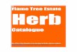 The Flame Tree Estate Herb Catalogue