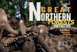 Great Northern Forests Booklet