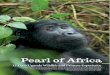 Uganda special 12 days gorillas chimpanzees and more experience