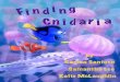 Finding Cnidaria