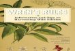 Wren's Rules: Information and Tips on Harvesting Wild Edibles