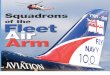 200906 FAA Squadrons Supplement