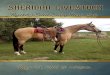 Sheridan Livestock 2016 Rancher's Select Spring Horse Sale
