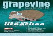 Grapevine Issue 4, 2015