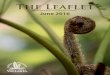 The Leaflet - June 2016