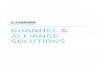 16 com 0012 l8a ym channel & alliance overview pages