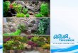 Aquarium Terrarium Decoration by Aqua Maniac 2016