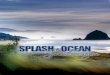 Spash in the Ocean at Sunset Canyon catalog