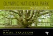 Olympic National Park Brochure