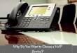 Why Do You Want to Choose a VoIP Service ?