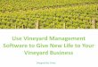 Use Vineyard Management Software to Give New Life to Your Vineyard Business