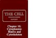 Chapter 16: Cytoplasmic Matrix and Cytoskeleton