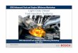 Light-Duty Diesel Light Duty Diesel Fuel Injection Systems