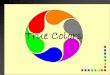 Exploring Leadership Styles - True Colors What is True Colors?