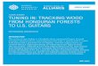 tuning in: traCking Wood from Honduran forests to u.s. guitars