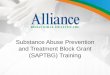 Download SA-Prevention-and-Treatment-Block-Grant-Training.pdf
