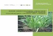 Good Agricultural Practice Tanaman Sereh (Cymbopogon Citratus 