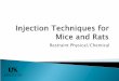 Injection Techniques for Mice and Rats - UK Research
